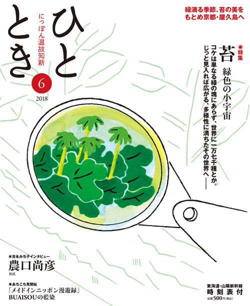 苔 緑色の小宇宙