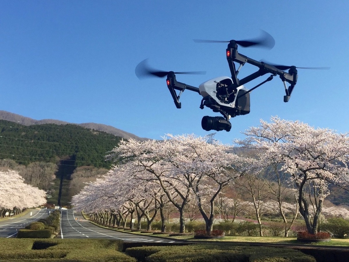 絶景の千本桜と富士 Wedge Infinity ウェッジ