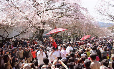 栄華を偲ぶ天下の花見行列 京都市伏見区 醍醐寺 13年4月14日 Wedge Infinity ウェッジ