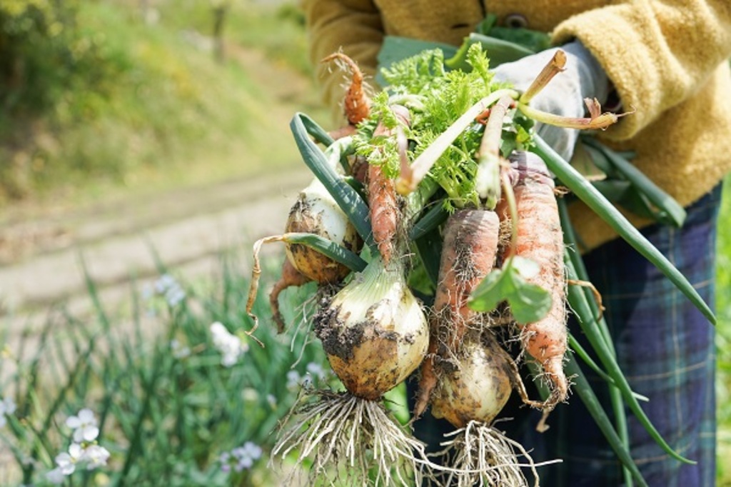 農水省の「有機農業推進」が〝脅かす〟食の安全