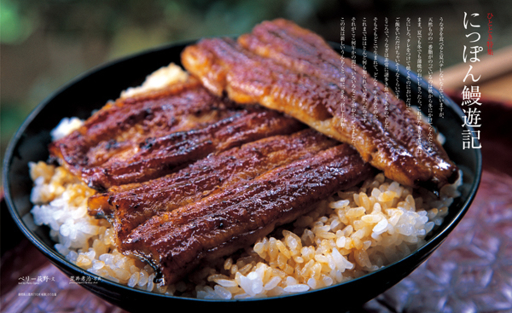 2010年8月号 にっぽん鰻遊記 Wedge ONLINE(ウェッジ・オンライン)