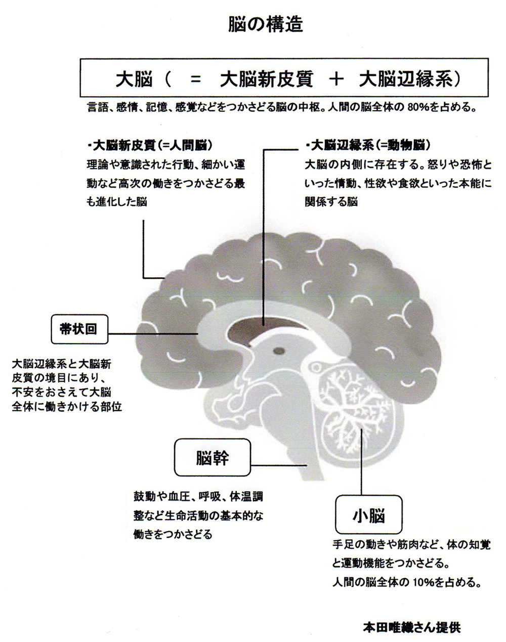 うつ病はdmnの異常と関係する 帯状回の血流を増やすことが重要 都立駒込病院脳神経外科 篠浦伸禎 部長に聞く Wedge Infinity ウェッジ