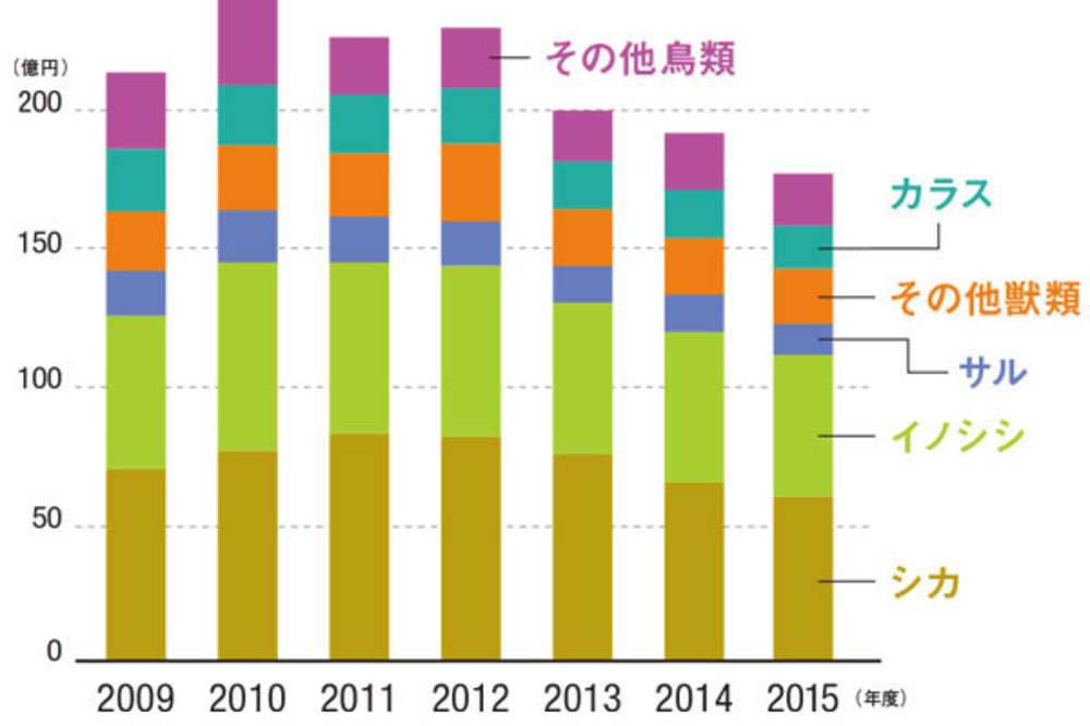 ジビエ ビジネスの光と影 獣害対策の切り札となるか 補助金貰っても採算割れの現実 Wedge Infinity ウェッジ