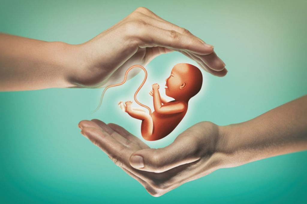 人工胎盤や人工子宮、生殖技術は人間を「消滅」させるのか Wedge ONLINE(ウェッジ・オンライン)