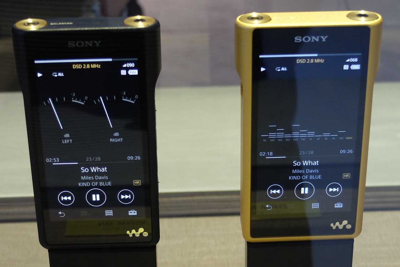 Sony SONY WALKMAN ウォークマン - [16GB] NW-S315 Player Cassette