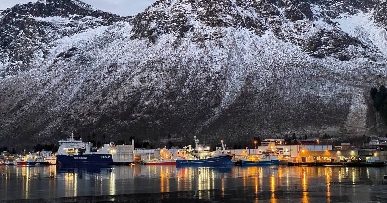 【限定公開】ノルウェーだって苦しかった 資源管理成功で水産大国に 魚も漁師も消えゆく日本 復活の方法はこれしかない Wedge ONLINE