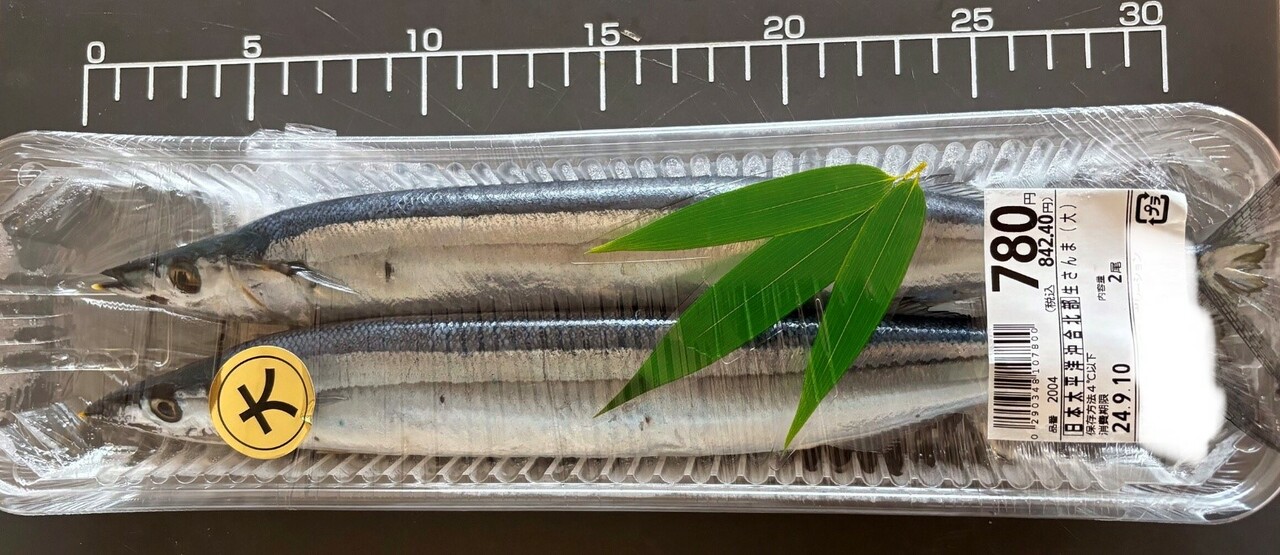 これでは「サンマ獲りすぎ大国・日本」になる！科学者の計算を無視