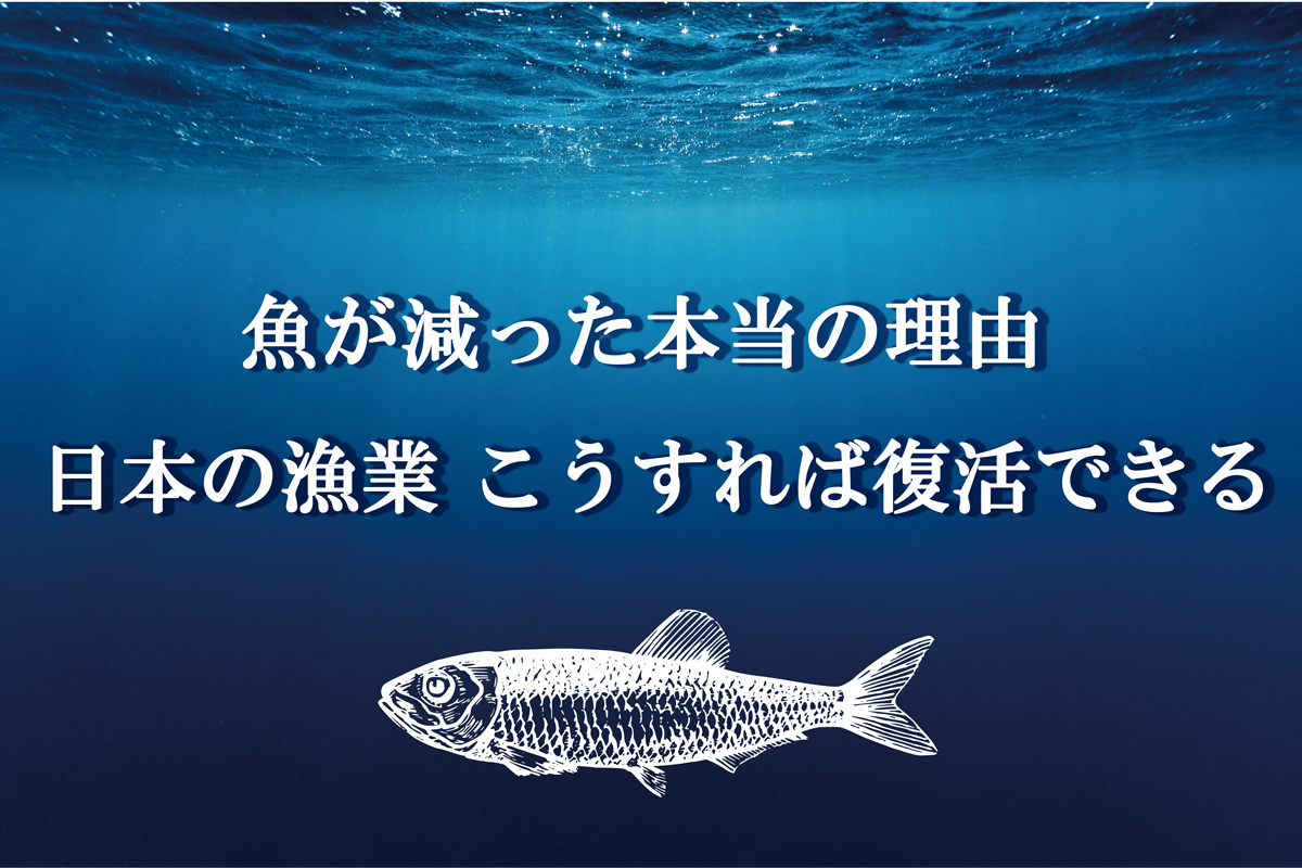 漁師が減る理由は何ですか？