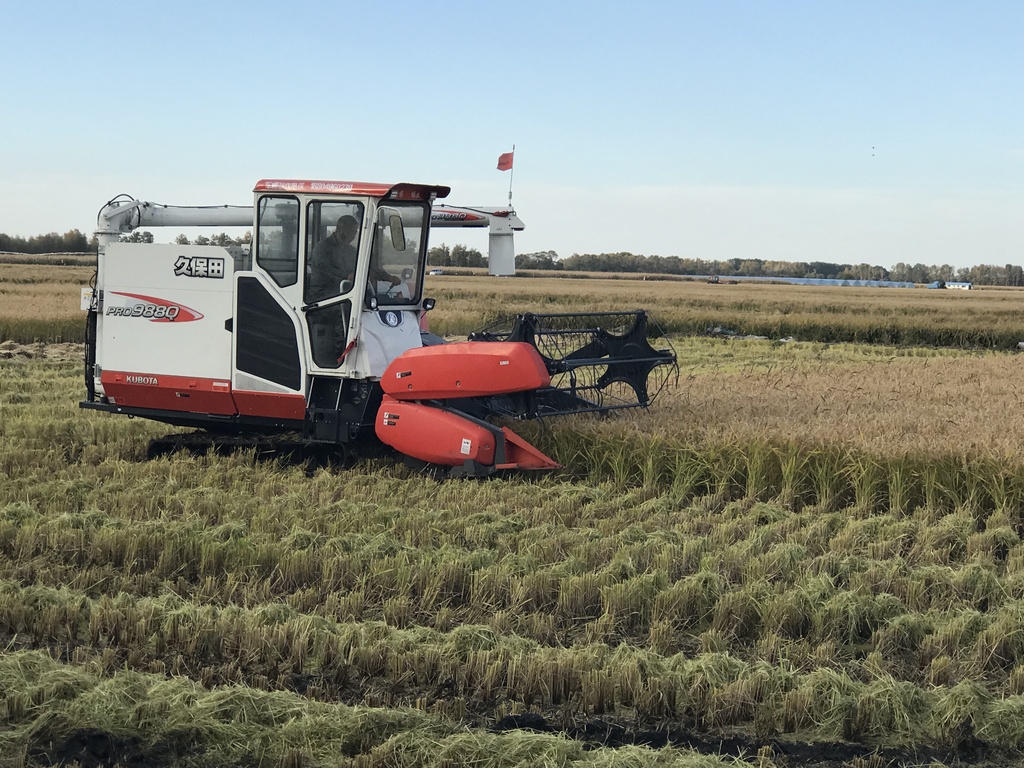 中国のコメ生産は収量で日本を圧倒するも、大規模農場で日本の
