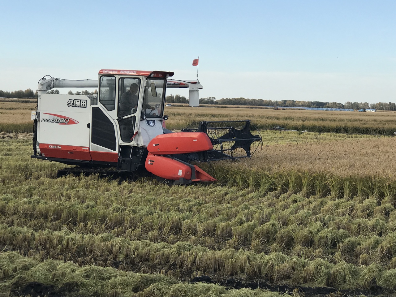 中国のコメ生産は収量で日本を圧倒するも、大規模農場で日本の 中国のコメ生産は収量で日本を圧倒するも、大規模農場で日本の