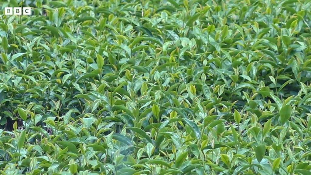 img_7f6b2fce45ec6e619ca84dd247c69e061479