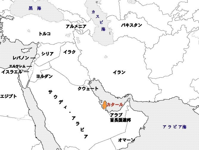 アジアカップに見るカタールの国家戦略 Wedge Online ウェッジ オンライン