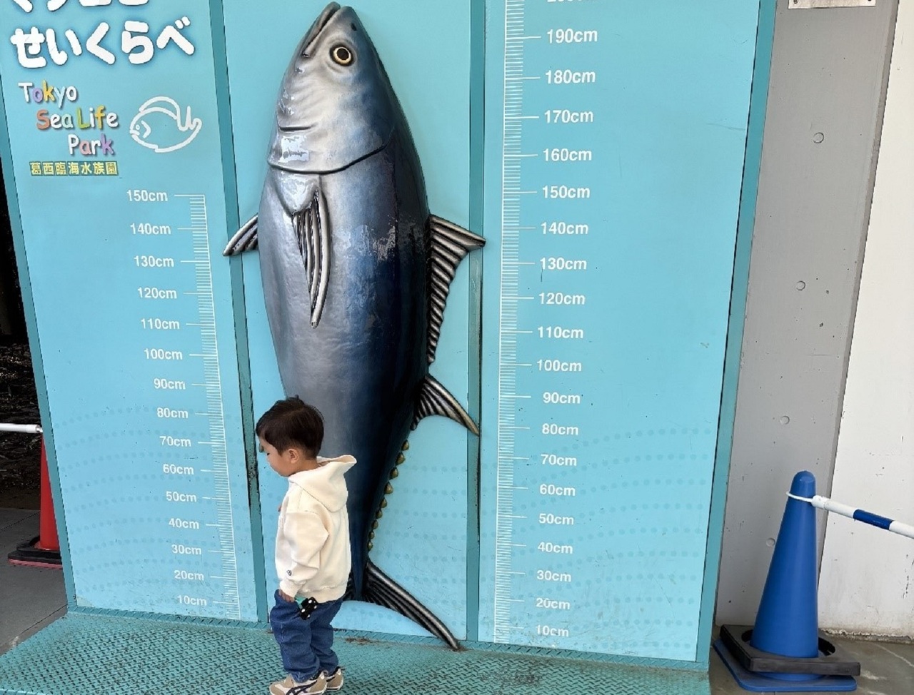 【A101】国際問題シリーズ44 世界の中の日本漁業 その前進を阻むものはなにか A101】国際問題シリーズ44 世界の中の日本漁業 その前進を阻むもの