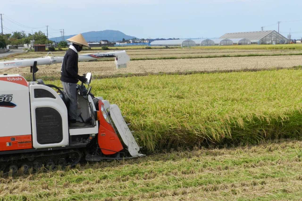 論点〉5kg2000円のコメ価格は適正なのか？今年の秋、離農を決断する 