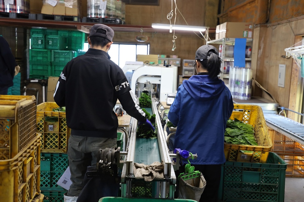 【限定公開】データで見る日本支える外国人労働者たち