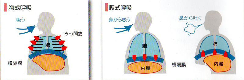 うつ病は自律神経のレベル向上を 呼吸法で自然治癒力と免疫力を高める 体内対話 椎名由紀代表に聞く Wedge Infinity ウェッジ