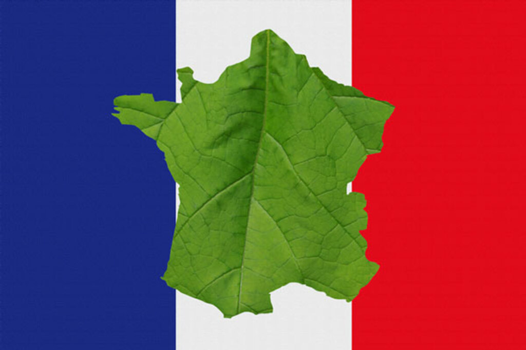 フランスで物議を醸す「緑の党」の環境原理主義