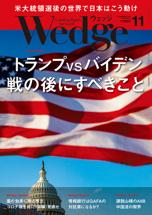 トランプVSバイデン