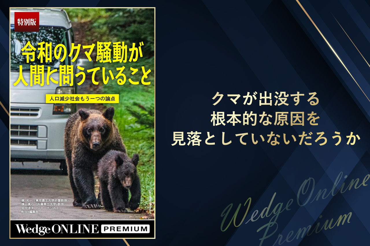 令和のクマ騒動が人間に問うていること 人口減少社会 もう一つの論点