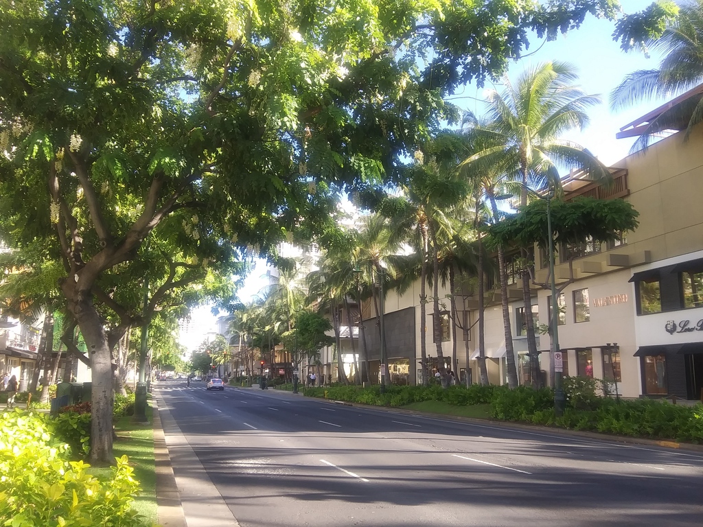ハワイが４段階の経済再開計画公表 観光客受け入れも再開 Wedge Infinity ウェッジ
