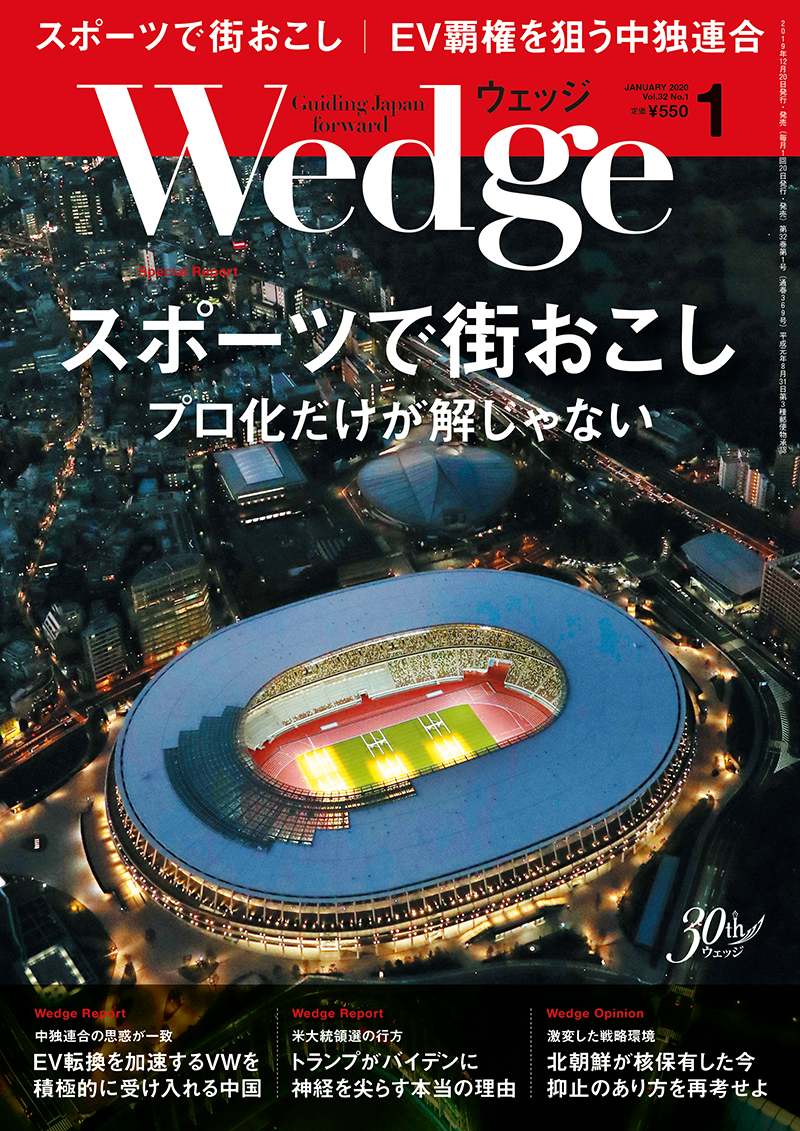 スポーツで街おこし プロ化だけが解じゃない