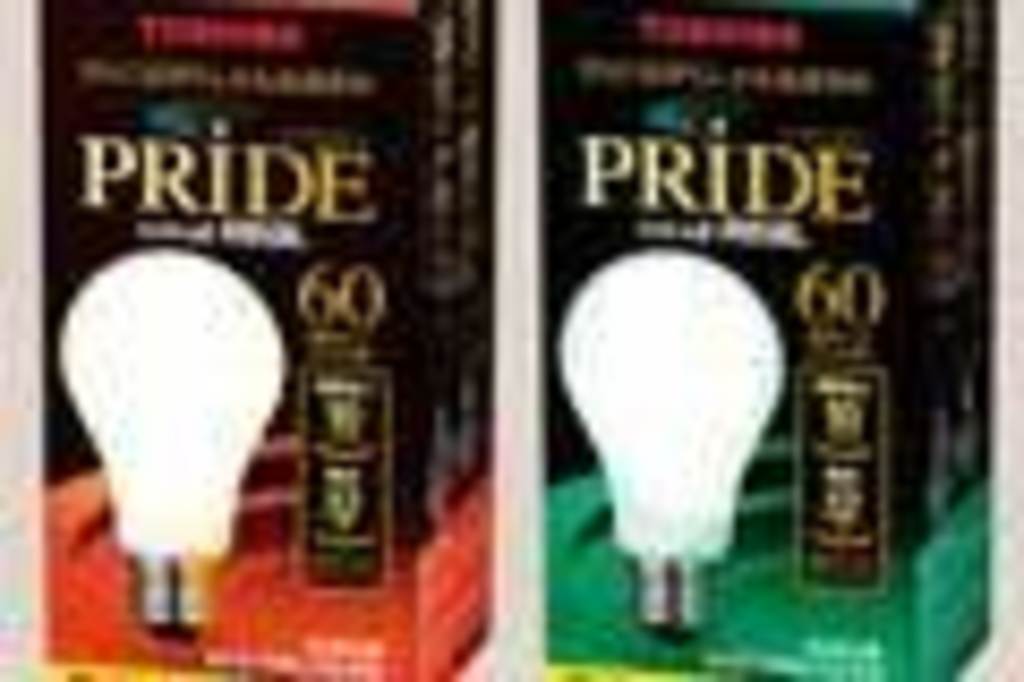 東芝 「ネオボールZリアルPRIDE」飄々と電球を切ったエンジニア 筏