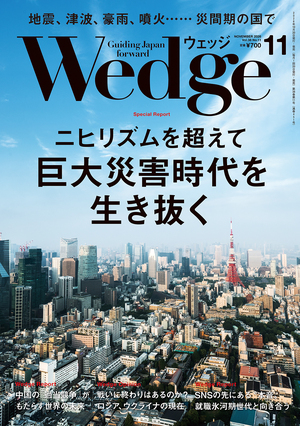 ニヒリズムを超えて　巨大災害時代を生き抜く