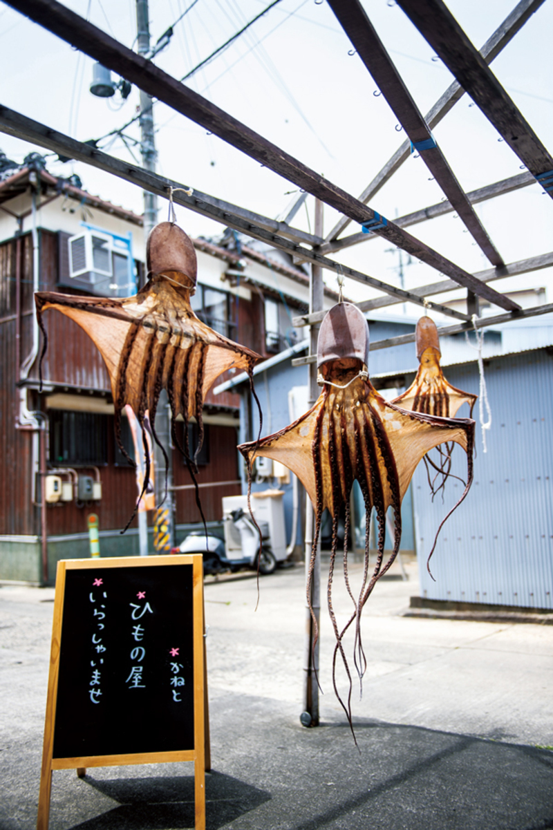 酒場歩きの達人を虜にした タコの島 の魅力とは 日間賀島 名古屋発 島飲み紀行 Wedge Infinity ウェッジ