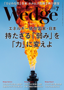 wedge
