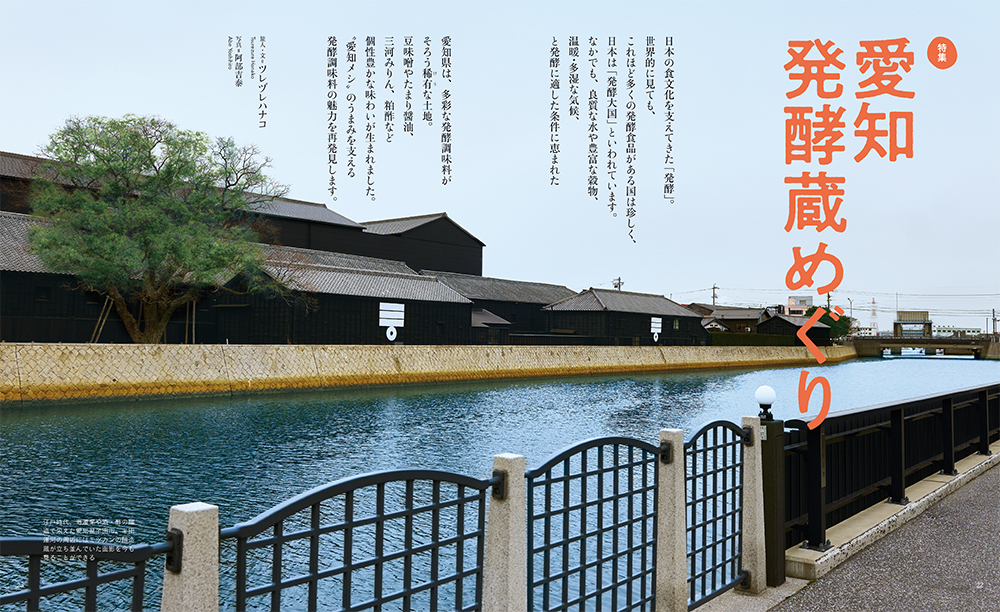 5月号