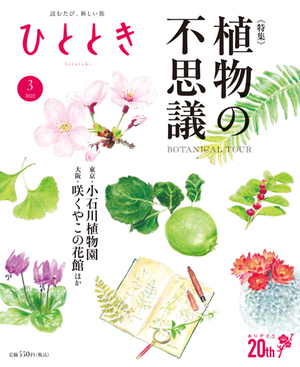 植物の不思議な魅力