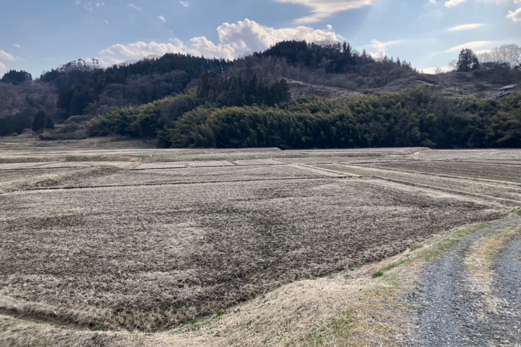 どうする？中山間地のコメ作り、スマート農業はどこまで実現できるのか