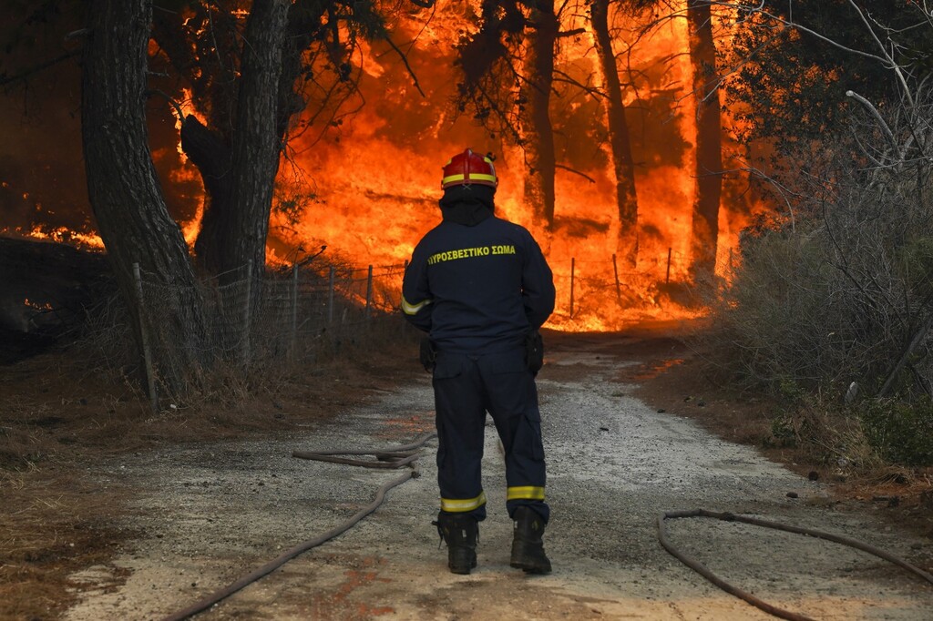 欧州の山火事が続発しているその理由とは Wedge Online ウェッジ オンライン